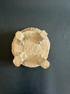 MAGNUS - coppa  decoro sfrangiato serie bianco magnolia
