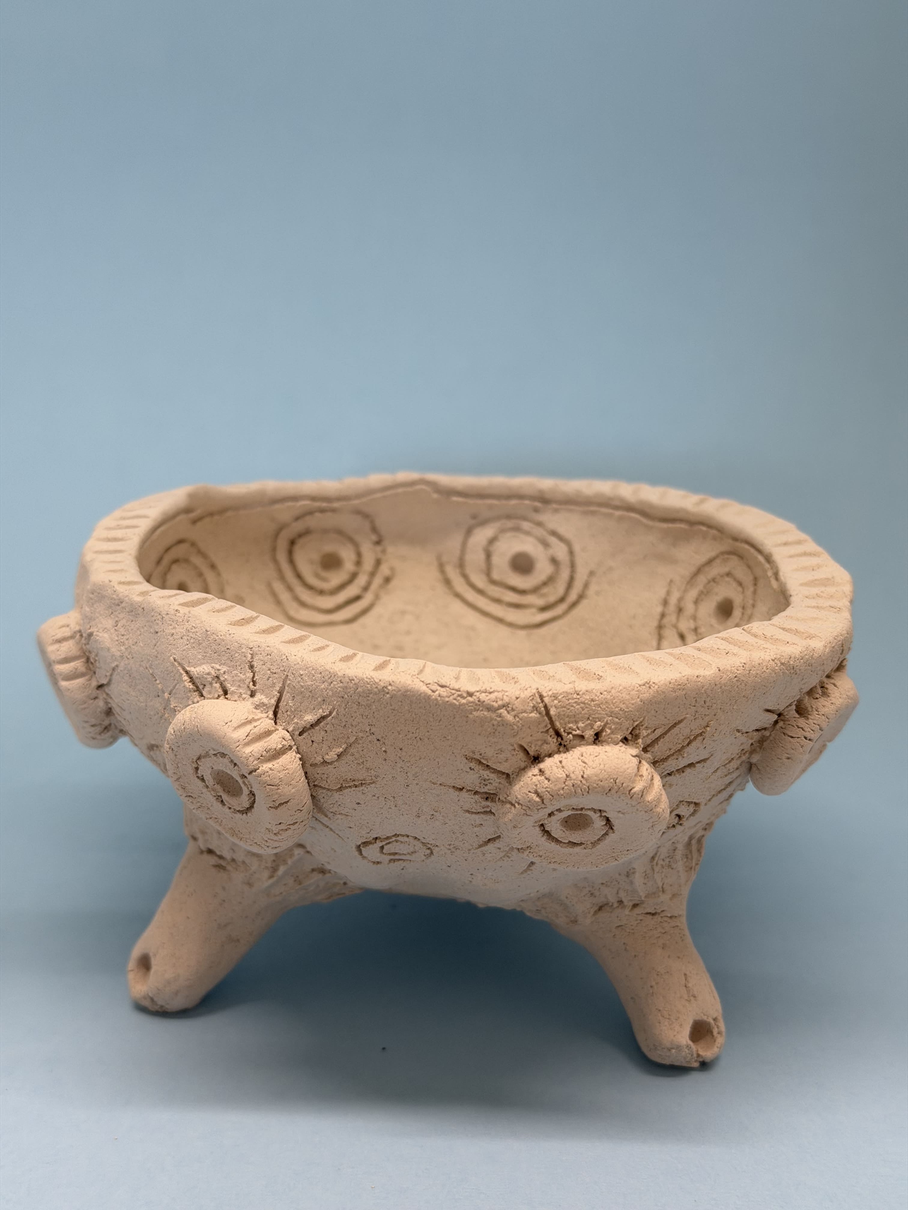 Ciotola media con cerchi e bottoni