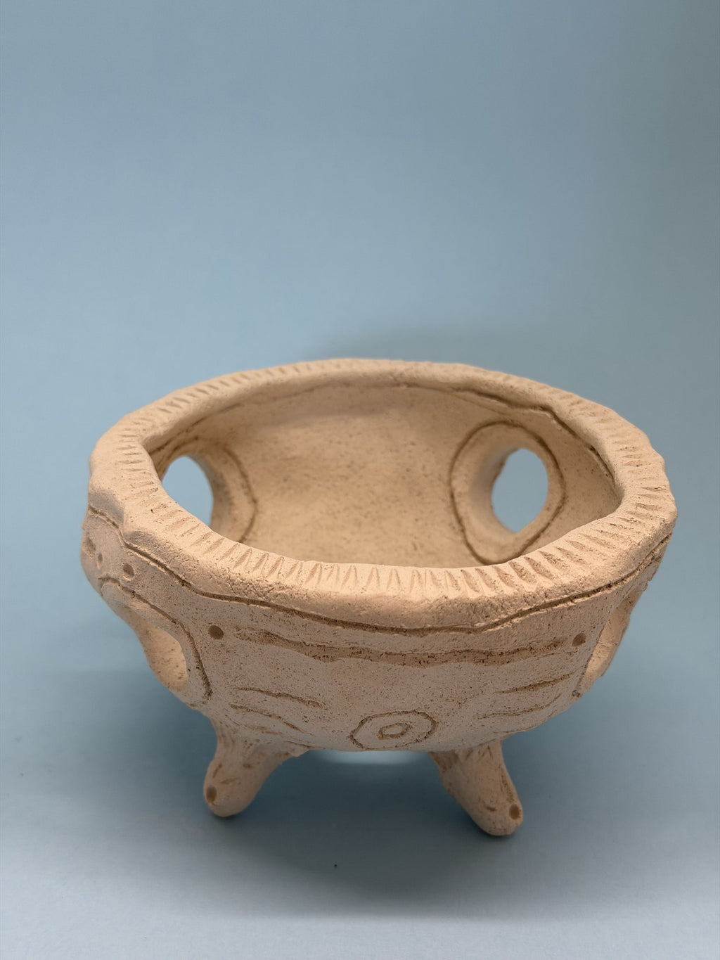 Ciotola media con buchi