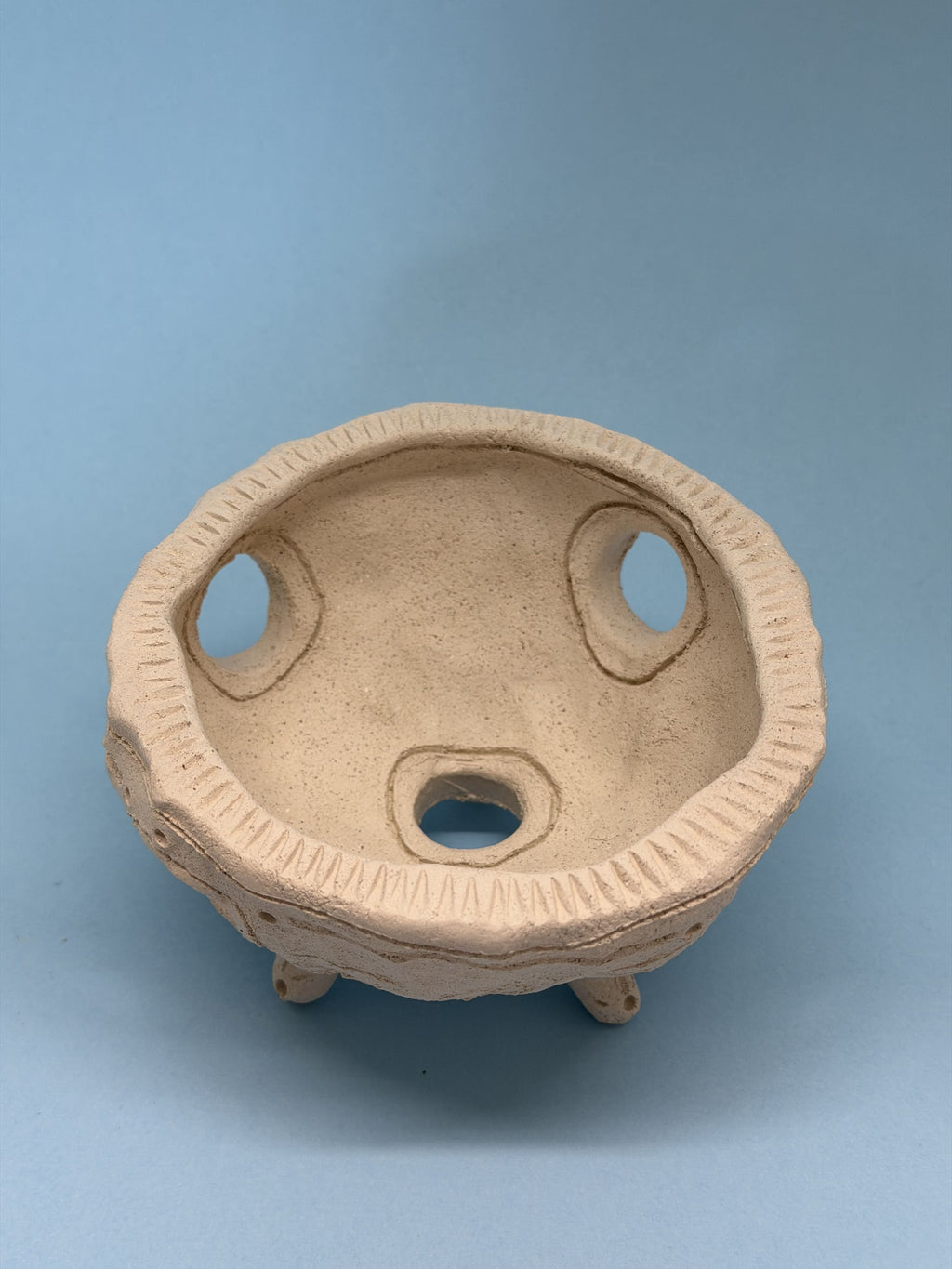 Ciotola media con buchi